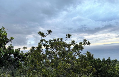 Oslob RV Rental | Zion View Point and Campsite