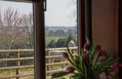 Denstone House | Zoe's Cottage 5 mins drive to Alton Alpaca's
