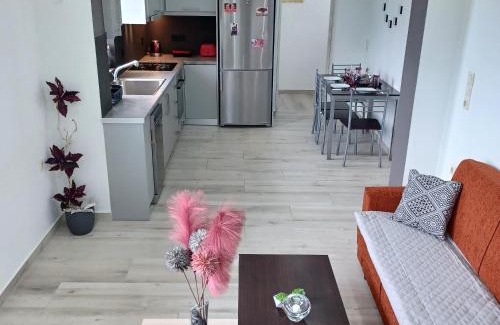 Agios Petros Apartment | Zoggos Apartment