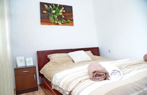 Vrdnik Apartment | Zoja