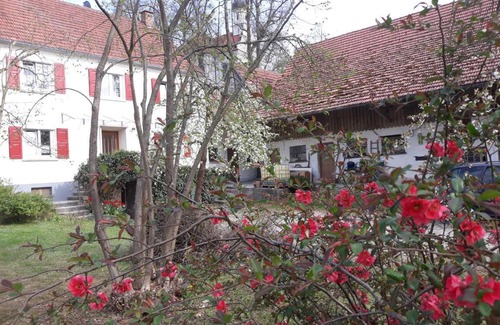 Ichenhausen Apartment | Zum Scheunenhof - Bauernhaus