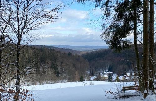 Rengersbrunn House | Zum waldfrieden