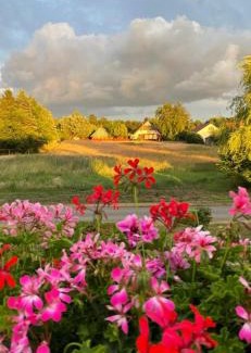 Neuendorf Heide Apartment | Zur Alten Boddenfischerei Ferienwohnung HeideZauber