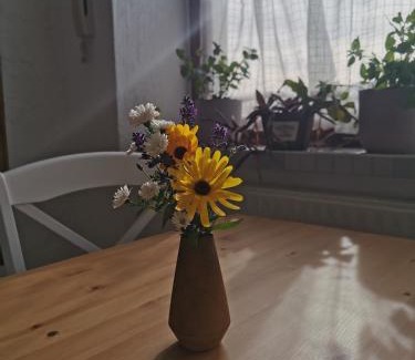 Grunhainichen Apartment | Zur alten Schnitzerei