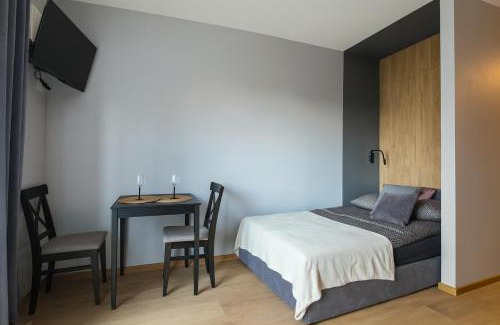 Business District Apartment | Zveryno City Appartments