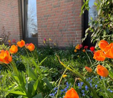 Schmilau Apartment | Zwei Zimmer Natur und Luxus Ferienwohnung mit Garten