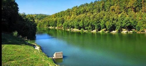 Šumski raj Lipovica