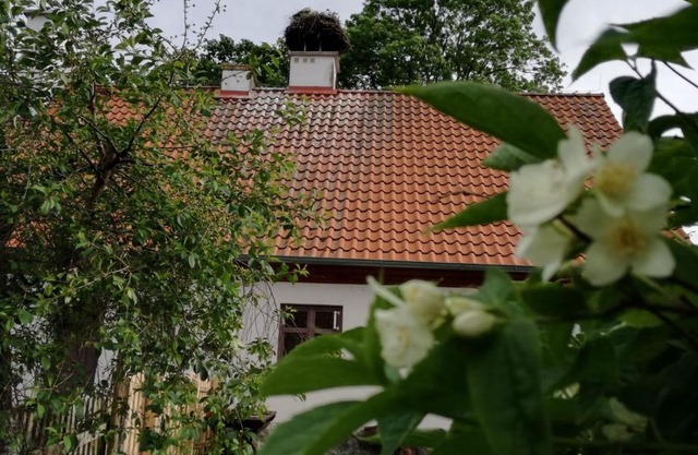 Żywkowo Bocianie Gospodarstwo Rolne