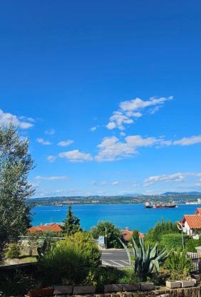 Žusterna Seaside Apartment
