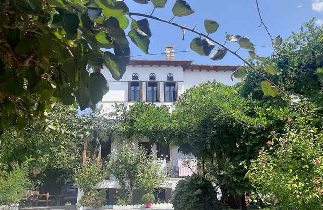ΠΗΛΙΟΡΕΙΤΙΚΟ ΝΕΟΑΡΧΟΝΤΙΚΟ ΣΤΙΣ ΜΗΛΙΕΣ
