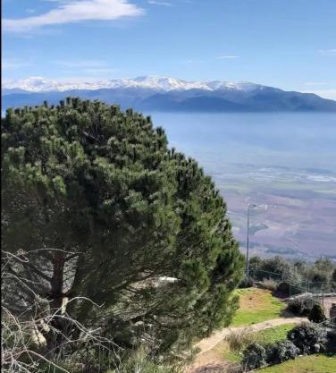 המון חרמון - סוויטה בגליל העליון