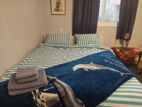 הצימר של אריה