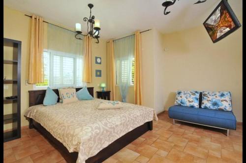 מול כנרת בליבנים