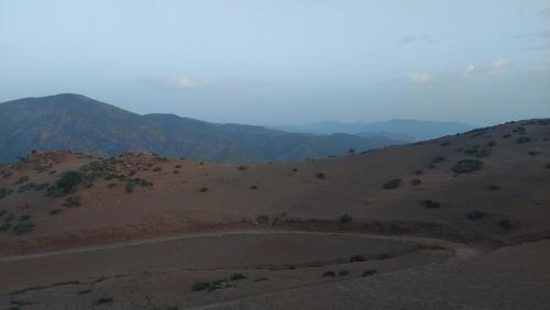 واد بهت