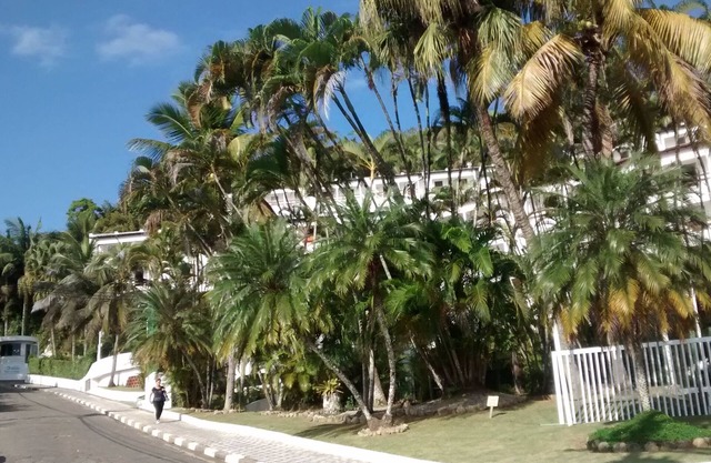 01 bedroom apt, for 04 people + 01 child, facing the sea!