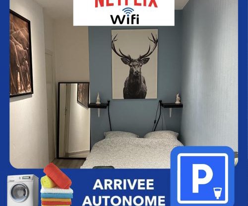 010 CHIC & COSY F1 29m2 HYPERCENTRE WIFI SMART TV NETFLIX