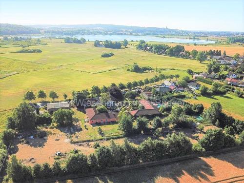 06 Grashüpfer - Hof Wiesengrund