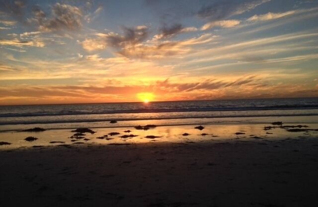 1/1 Ocean Front w/King Bed, Sunsets, Surfers, and Amazing Memories. Book It!
