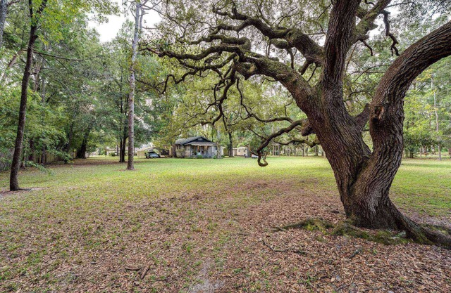 1 Acre Home |Woodsy & Fenced |Dogs Ok |Firepit |Close to Dining/Shops | Moody Oaks Rental Next Door
