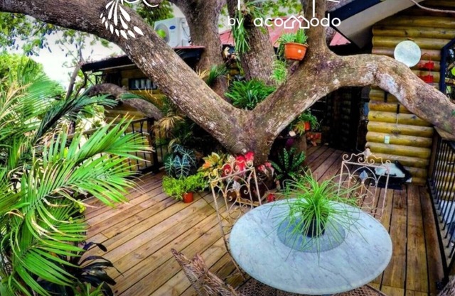 1 bdr - Ensuite tree house 🌳🏠 premium amenities/Ranch and sanctuary 🦚🤠