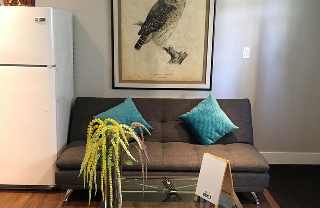 1 Bdrm private suite, self contained private entrance, small pets welcome.