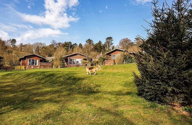 1 bedroom accommodation in Nr Leek