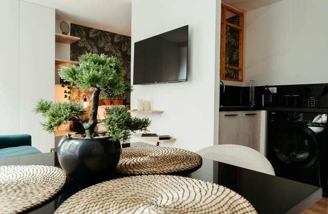 1 bedroom apartment in mulhouse