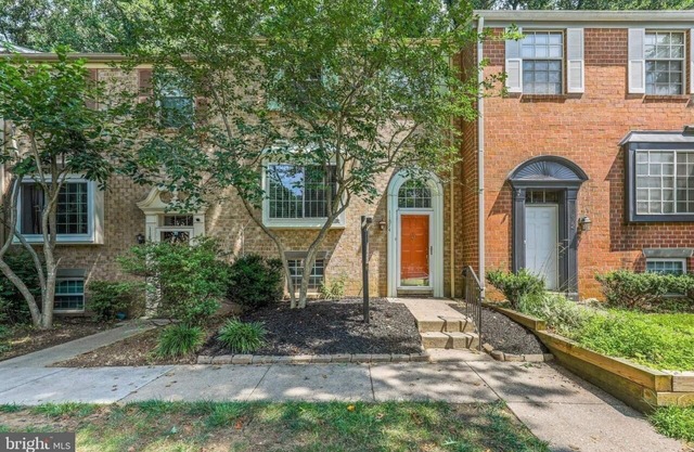 1 bedroom basement apartment w/washer, Wifi, heating