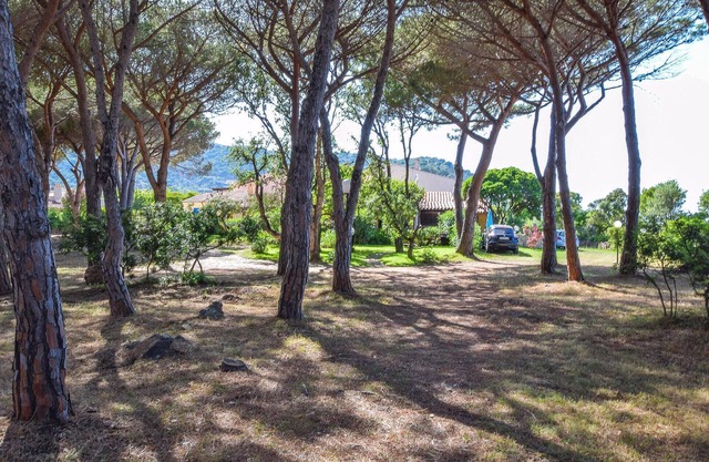 1 bedroom cozy home in Budoni
