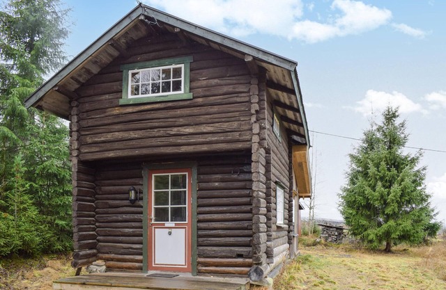 1 bedroom nice home in åsnes finnskog
