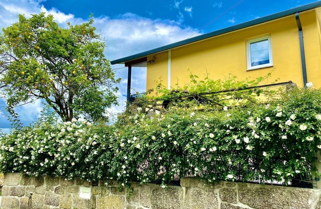 1 bedroom private vacation home in vila nova de muãa