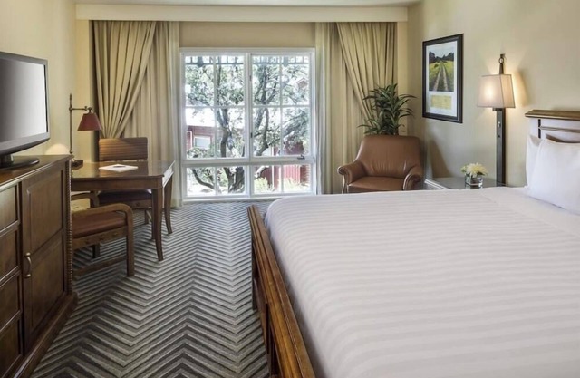 1-Bedroom Suite at a 4⭐️ Hotel