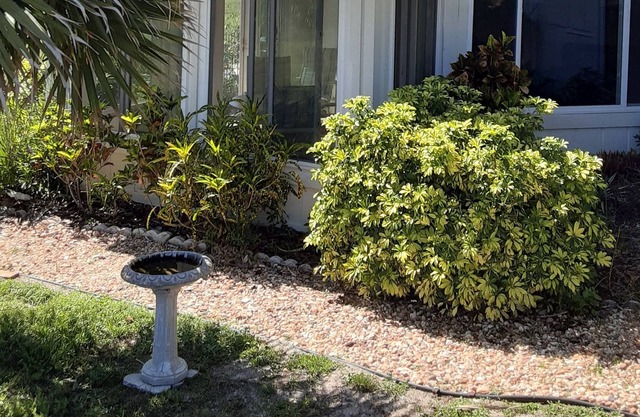 1 block to beach, backyard golf course views. Sleeps 5, Pet-friendly, low price!
