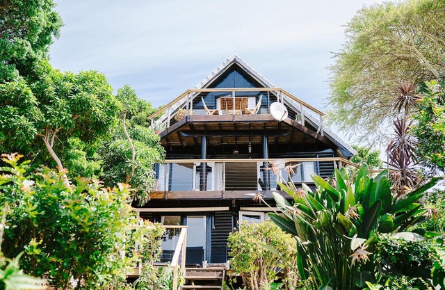 10i Mimosa by African Perfection