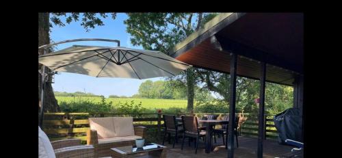 11 Tan-y-coed Woodland Lodge