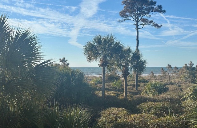 115 Breakers by 'hiltonheadscrentals': Great Spring/Summer dates are Available
