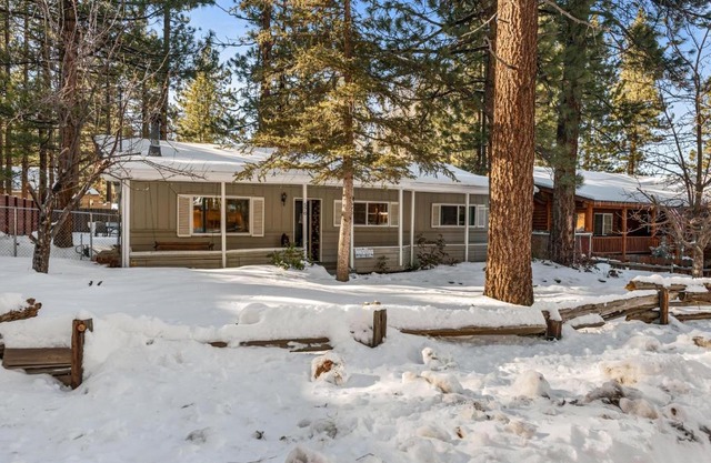 116 - Summit Bearadise