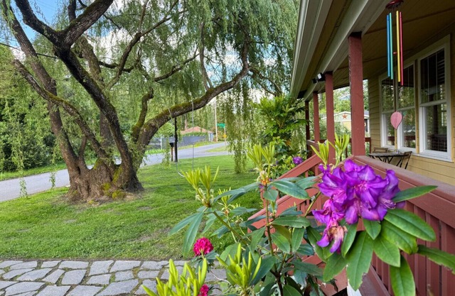 118 - The Willow Tree Bungalow