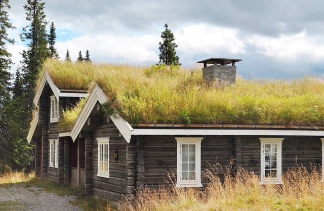 12 person holiday home in Fåvang