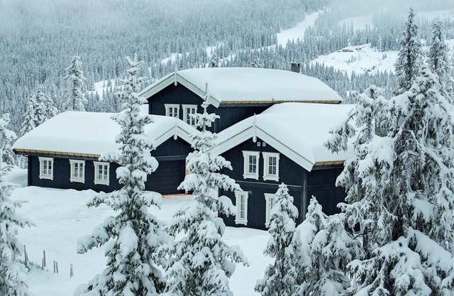 12 person holiday home in Fåvang