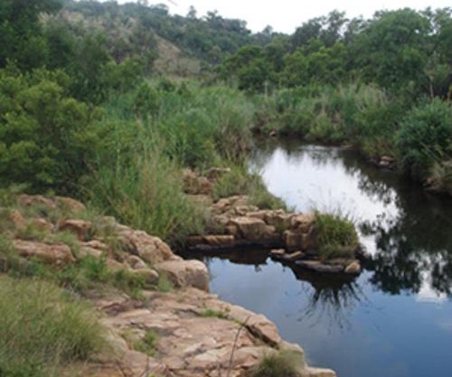 129B African Bushveld