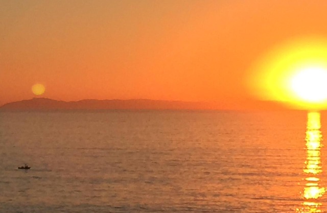 15min to Disney, Ocean 20min, Pool, Pet Dog run, AC, Yard, Dbl Grge, 160mb+ Wifi