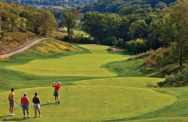 1br Condo Golfing in Beautiful Galena