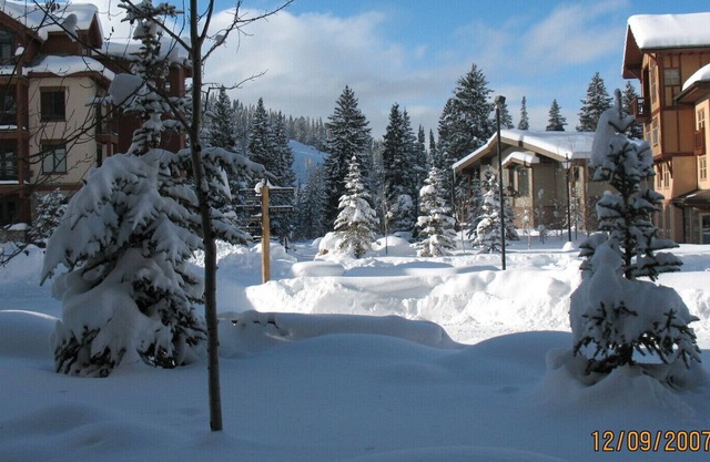 1BR Executive Suite in Solitude Village - 300 steps to chairlifts - upgraded