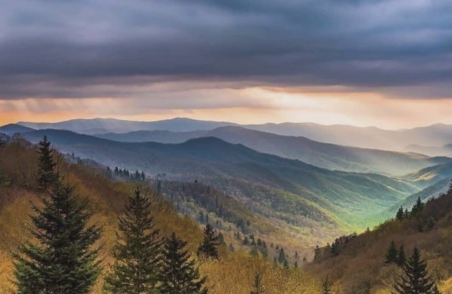 1BR Suite @ Smoky Mountains Resort