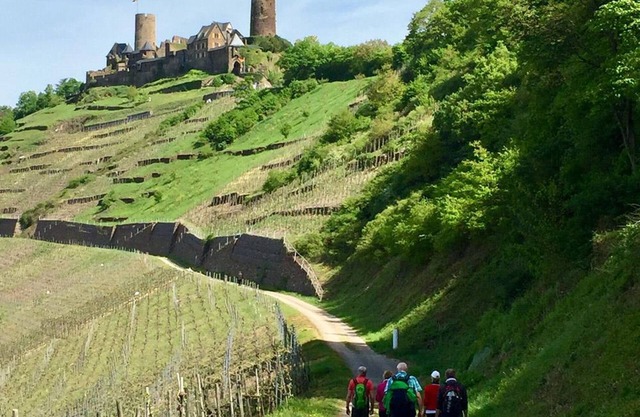 2-bed apartment "Doctorberg I" - Ambiente WeinStein