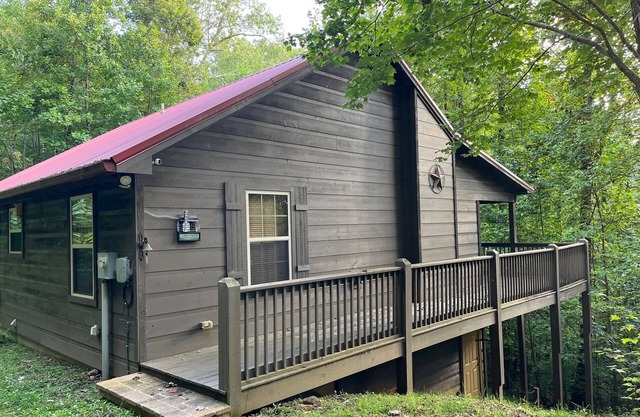 2 Bedroom 1 Bath Hayesville Cabin