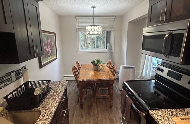 2 bedroom apartment by the Sturgeon River