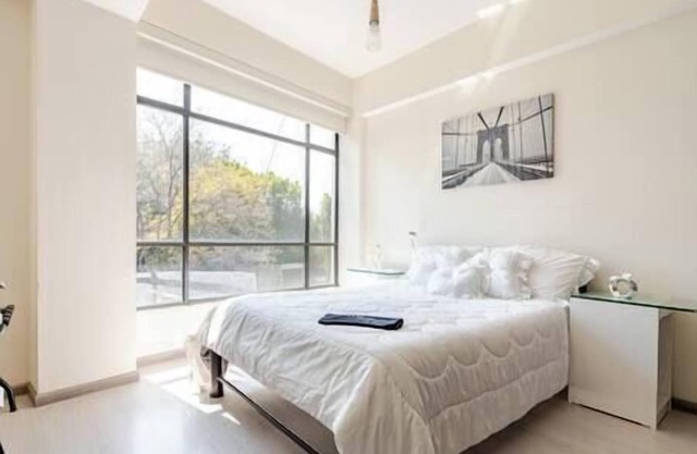 2 Bedroom stylish apartment ideally located in Mexico City
