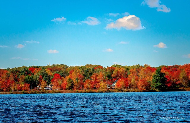 2 Bedrooms Cabin In Pocono Summit